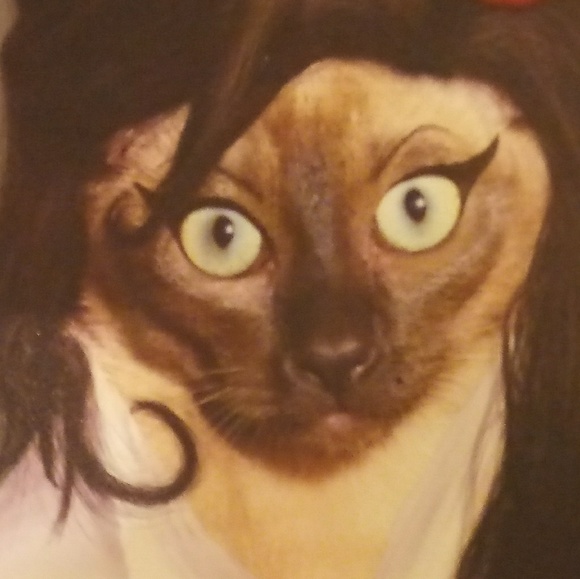 Meet your Posher, Athena - Picture 1 of 2